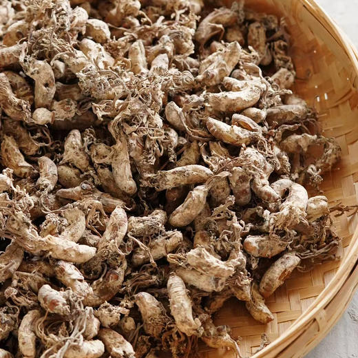 【野生金蝉花】纯野生 精品货 新货包邮 商品图4