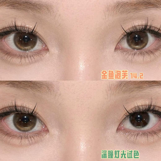 GINOMII金鱼棕（佩戴直径：14.2mm） 商品图1