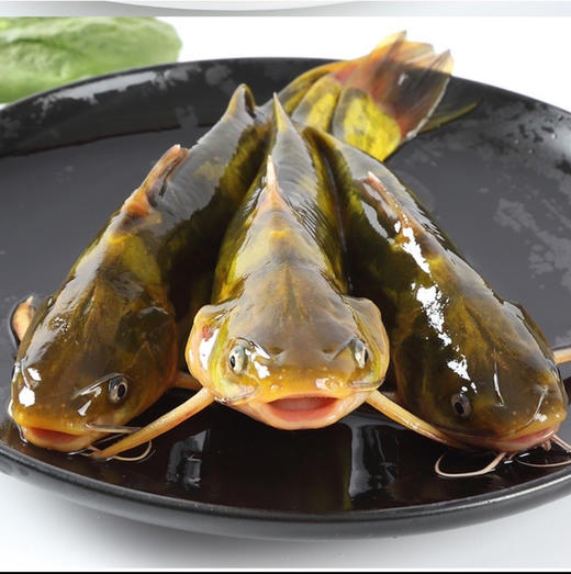 鲜活昂刺鱼(15.8元1袋约450-500g)5-7条随机，明天到 商品图0