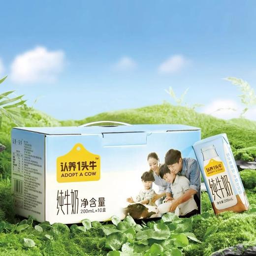 认养一头牛全脂纯牛奶200ml*10盒*1箱不退中途营养高钙早餐生牛乳 商品图1