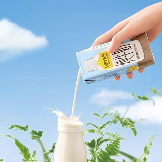 认养一头牛全脂纯牛奶200ml*10盒*1箱不退中途营养高钙早餐生牛乳 商品图2