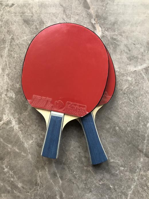 【双12特惠】金满贯蝴蝶王维斯结构外置蓝芳碳乒乓底板 商品图2