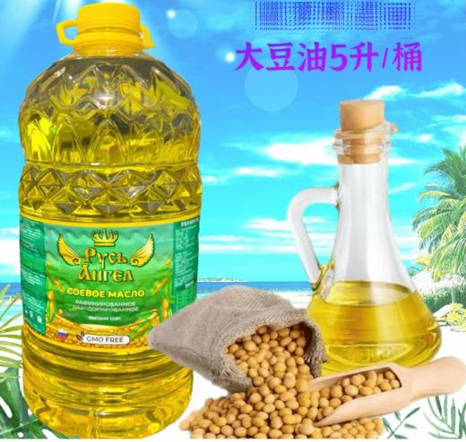 俄罗斯 精选优质大豆食用油-5L 商品图0