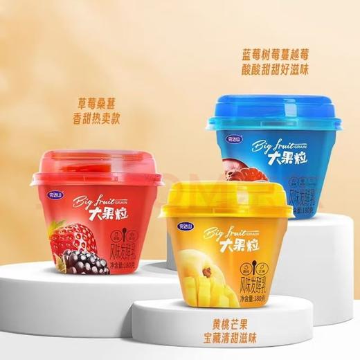 完达山大果粒一袋 商品图0