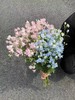 日本进口小飞燕鲜切花 商品缩略图8