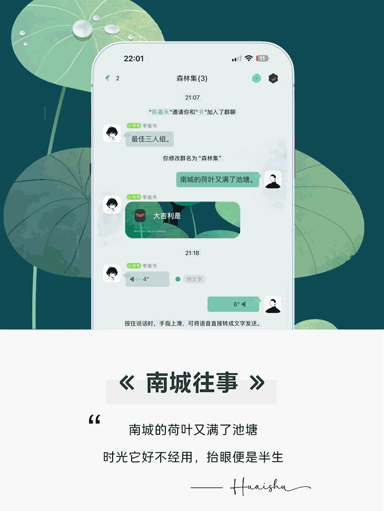 <南城往事> 南城的荷叶又满了池塘。# 高清护眼主题。