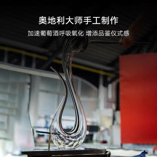 奥地利RIEDEL竖琴手工水晶醒酒器分酒器轻奢进口送礼高颜值 商品图2
