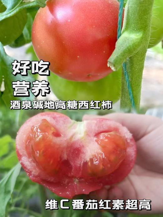 🍅戈壁滩上种植，祁连山雪水灌溉❗️【国内极少高甜品种 99.99%人没吃过-甘肃酒泉-高糖西红柿】25°早晚温差-糖分更高，1对1人工甄选，多倍高于普通番茄VC含量❗️ 商品图2