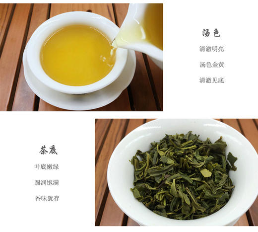 八乡早春初采绿茶 商品图5