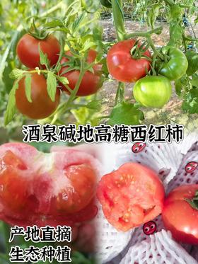 🍅戈壁滩上种植，祁连山雪水灌溉❗️【国内极少高甜品种 99.99%人没吃过-甘肃酒泉-高糖西红柿】25°早晚温差-糖分更高，1对1人工甄选，多倍高于普通番茄VC含量❗️