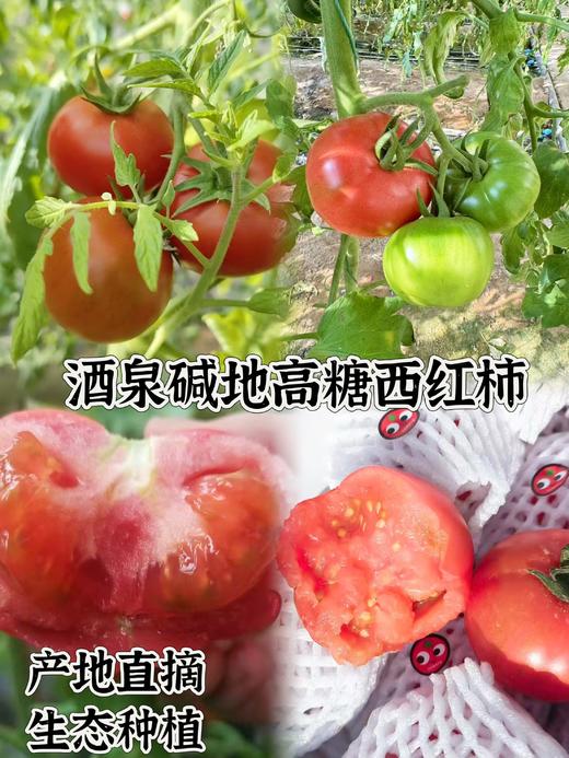 🍅戈壁滩上种植，祁连山雪水灌溉❗️【国内极少高甜品种 99.99%人没吃过-甘肃酒泉-高糖西红柿】25°早晚温差-糖分更高，1对1人工甄选，多倍高于普通番茄VC含量❗️ 商品图0