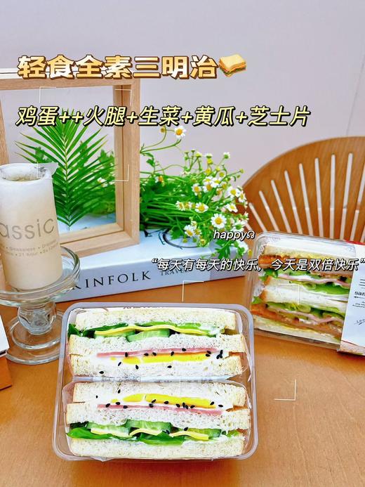 轻食全素三明治 商品图1