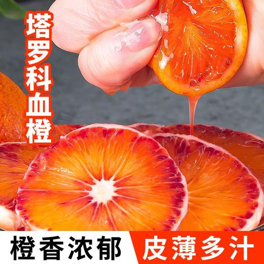 【应季好物】塔罗科血橙麻阳果冻橙子新鲜水果当季冰糖手剥多汁 商品图1