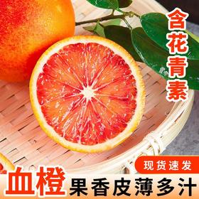 【应季好物】塔罗科血橙麻阳果冻橙子新鲜水果当季冰糖手剥多汁