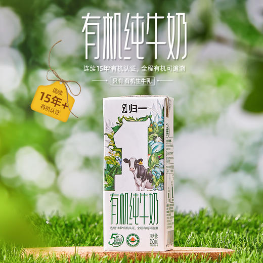 天然无添加 全程有机 | 归一有机纯牛奶 早餐牛奶 高蛋白饮品 100%生牛乳 250ml*24支（两提） 商品图2