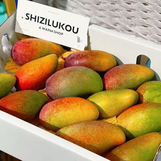 三亚自然熟山野贵妃芒🥭 商品图9