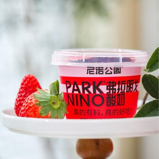 【发货时效2-7天】尼诺公园（“弗拉明戈酸奶  126g/盒×10） /（冰淇淋酸奶 126g/盒×10） 商品图1