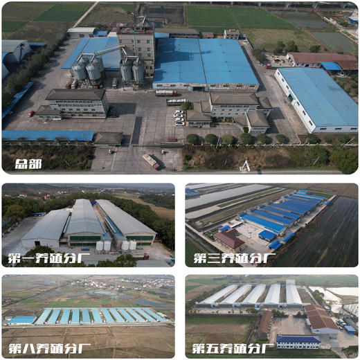 富硒鸡蛋（30枚）【XJ】 商品图4