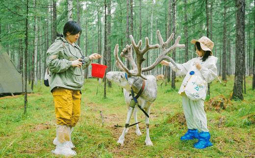 【2025】呼伦贝尔专属线路设计，深度自然探索;民族文化沉浸，走入边陲小城满洲里中国“冷极”根河，与驯鹿悠然漫步 商品图1