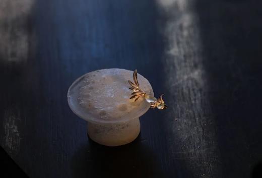 倒挂金钟小鹦鹉 商品图6