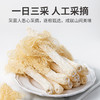 【质农】方家铺子 无硫竹荪58克干货  农家食用煲汤火锅煲汤食材自然生长美味营养 商品缩略图6
