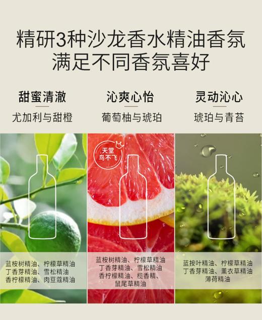 蓝桉叶精油除菌液800ml | 绽家 蓝桉叶植萃精油内 衣物服裤 消毒液 宠物除味 香氛家用除菌液800ml 【买3瓶装送绽家洗衣液150ml1瓶】 商品图2