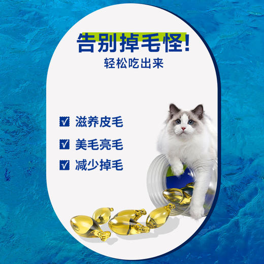 喵铮铮RTG深海鱼油 15粒/瓶 卵磷脂美毛亮发 90%Omega3防掉毛 商品图4