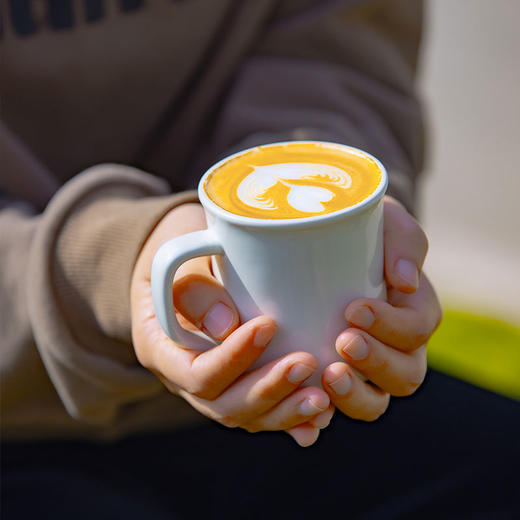 怒放意大利 微微果酸 精品意式拼配咖啡豆 商品图3