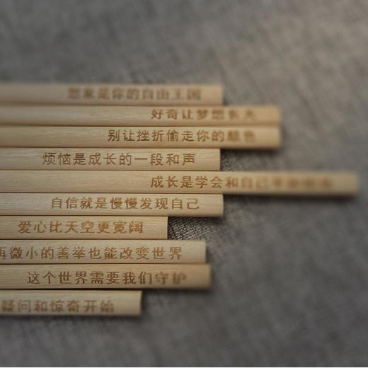 素养阅读周边 | 儿童素养铅笔，给孩子的成长赞礼 商品图0