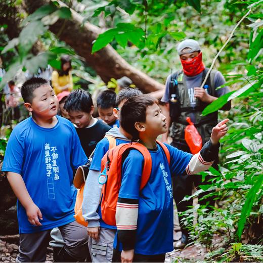何以版纳，当自然王国开始说话【树语】7天6晚 商品图6