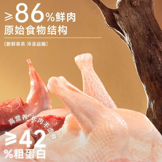 【金卡会员专属】喵铮铮烘焙粮 2斤/包 93%肉含量无谷营养全阶段猫粮 商品图1