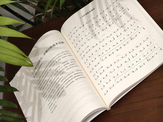 《扬琴音阶训练教程》简谱版（李玲玲著） 商品图2