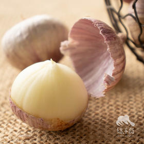 生态小红蒜（半干蒜）| 合作生产*Eco purple garlic | Partner Production