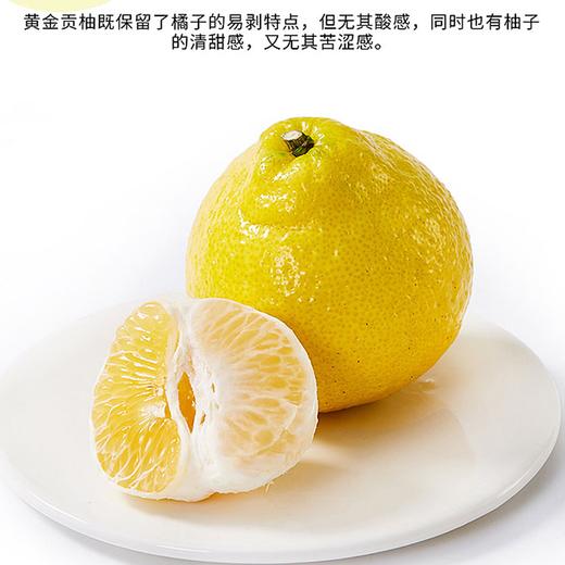 疯抢中！！【荣获农博会金奖】【洪江纯正黄金贡柚】清甜无酸 果粒分明 维C卫士老少皆宜 5斤/10斤/送手提彩箱装 商品图9