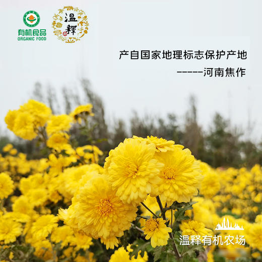 合作产品/ 有机怀菊花 商品图1