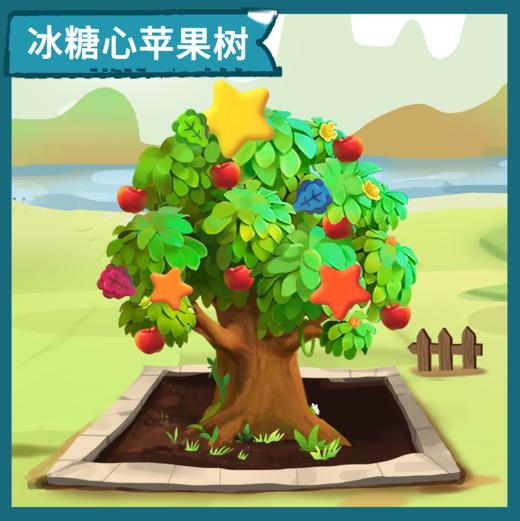 【冰糖心苹果树】2025“我有一棵树 长在阿克苏”大型援疆行动冰糖心苹果树认种 商品图0