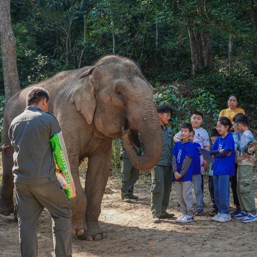 何以版纳，当自然王国开始说话【树语】7天6晚 商品图13