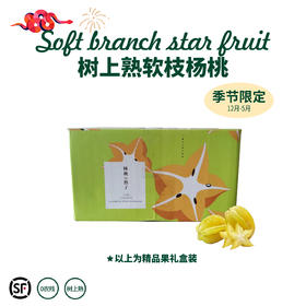 福建 软枝杨桃福建特产新鲜美味可口果汁丰富 顺丰包邮