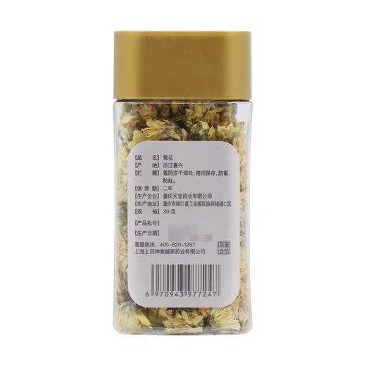 神象 菊花茶 花茶30克 商品图4