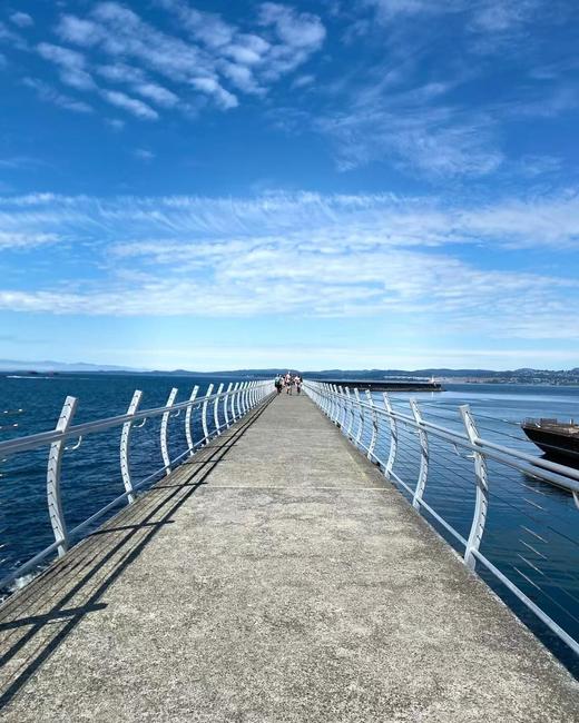 加拿大签证【超级简化】 商品图6