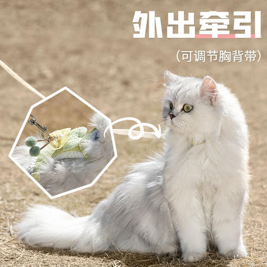 喵铮铮猫包 外出便携包宠物帆布包透气单肩通用大号猫咪露头拎包 商品图4