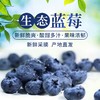 佛系的蓝莓 “莓”有烦恼只剩甜，日子简单才快活 商品缩略图0