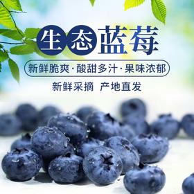 佛系的蓝莓 “莓”有烦恼只剩甜，日子简单才快活