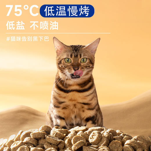 【金卡会员专属】喵铮铮烘焙粮 2斤/包 93%肉含量无谷营养全阶段猫粮 商品图2