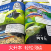 童眼观世界6册4-8岁儿童看图识物书启蒙益智早教书百科全书科普百科全套恐龙百科全书认识标志功能建筑飞机鱼类花卉植物鸟类国家 商品缩略图6