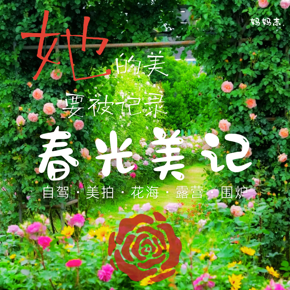 春光美记 | 苏州凤凰玫瑰园，4/22、4/26 自驾、美拍、花海、露营、围炉，摄影/精修，她的美要被记录..