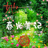 春光美记 | 苏州凤凰玫瑰园，4/22、4/26 自驾、美拍、花海、露营、围炉，摄影/精修，她的美要被记录.. 商品缩略图0