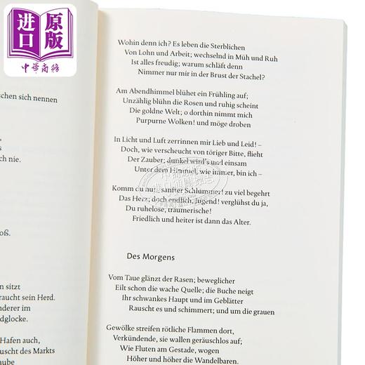 【中商原版】【德文版】荷尔德林诗歌精选 德文原版 Gedichte Eine Auswahl Friedrich Holderlin 商品图2