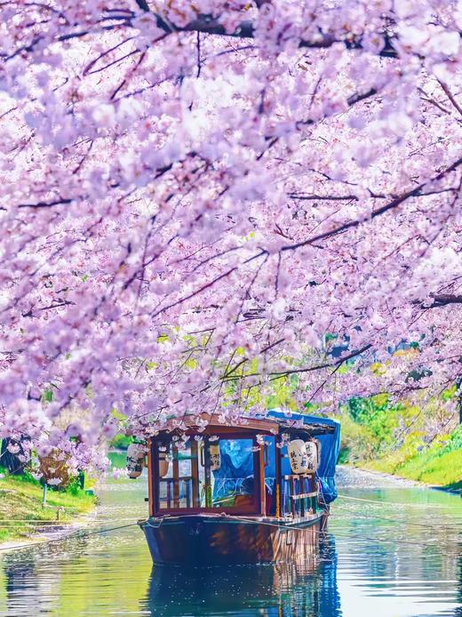 北京领区日本单次/三年签证免资产全国收.VIP-专业顾问1对1服务信息保密 商品图4