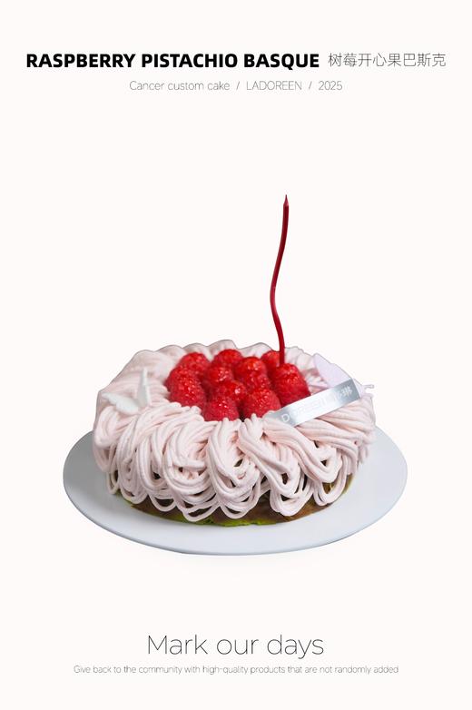 树莓开心果巴斯克 商品图0